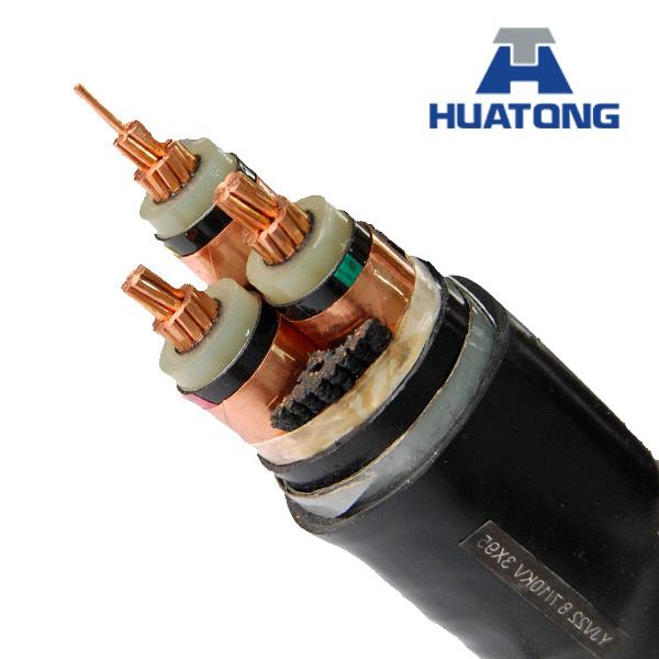 China 
                        0.6/1kv Power Cable Al/XLPE/Swa/PVC
                      manufacture and supplier