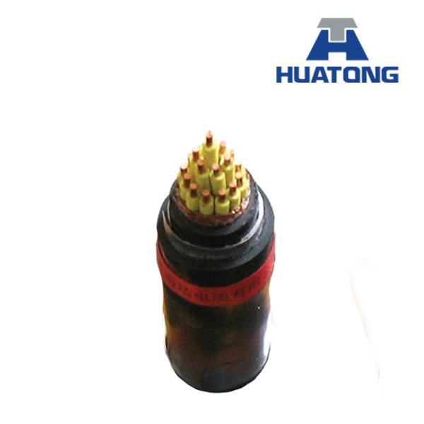 
                        450/750V PVC Insulation and Sheathed Control Cable
                    