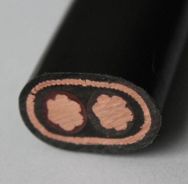 China 
                        600V Copper 10mm2 Concentric Cable
                      manufacture and supplier
