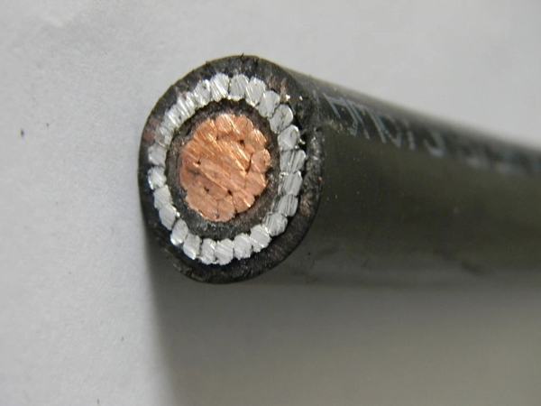 China 
                        600V Copper 6AWG 4AWG 2AWG 1/0 AWG Concentric Cable
                      manufacture and supplier