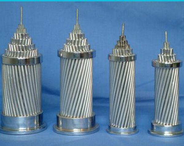 China 
                        AAAC Aluminium Alloy Conductor, Bare Conductor, AAAC Cable, AAAC Wire for Made in China
                      manufacture and supplier