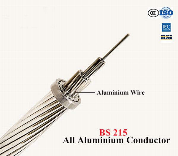 Китай 
                                 AAC оголенные провода BS стандарт для передачи мощности линии                              производитель и поставщик