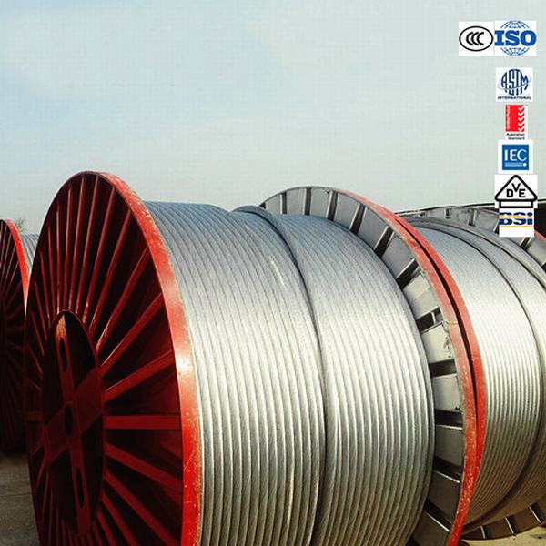 Cina 
                                 Conduttore ACSR- Conduttore in alluminio Rinforzato in acciaio (ACSR DRAKE)                              produzione e fornitore