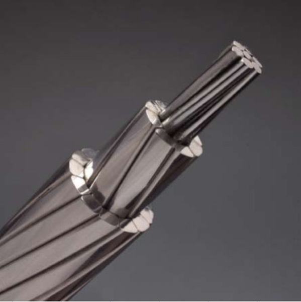 China 
                        Acss/Tw Conductor, Aluminium Conductors Steel Supported (ASTM B 857) for Factory Price
                      manufacture and supplier