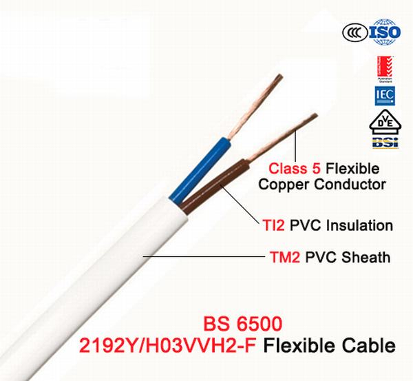 China 
                        BS 6500 Standard 300/500V 450/750V Electrical Wire for Inside House Lighting Use
                      manufacture and supplier