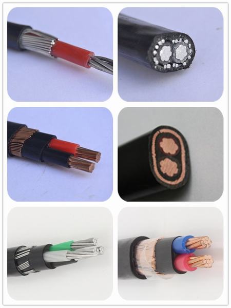 China 
                        Concentric Neutral Cable 2*8AWG
                      manufacture and supplier