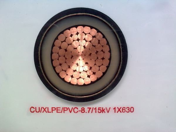 China 
                        Flame Retardant White XLPE Insulated Power Cable
                      manufacture and supplier