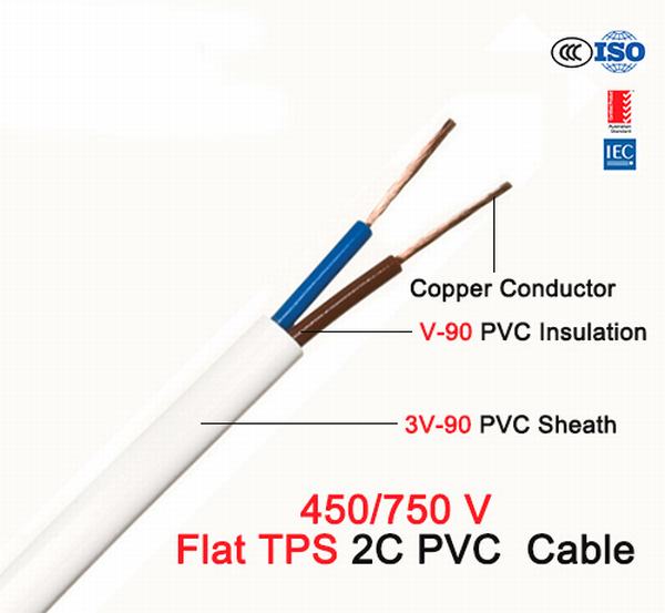Chine 
                                 TPS plat 2c câble PVC de conducteur en cuivre 450/750V                              fabrication et fournisseur