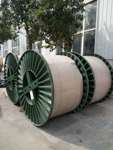 China 
                        IEC 60502-2 Single Core XLPE Insualted Armour 18/30kv Aluminum Cable
                      manufacture and supplier