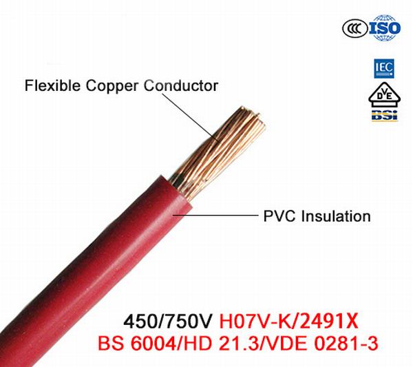 China 
                        Low Voltage PVC Electric Wire, Building Wire, 450/750V Copper Wire
                      manufacture and supplier