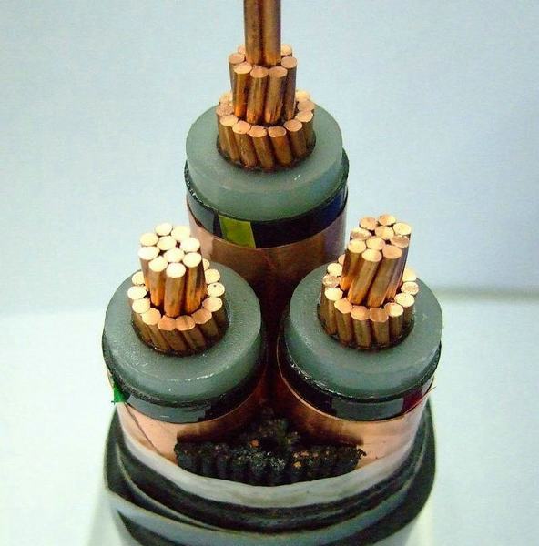 
                                 Cinta de cobre con aislamiento XLPE tres núcleos de aislamiento del cable de alimentación                            