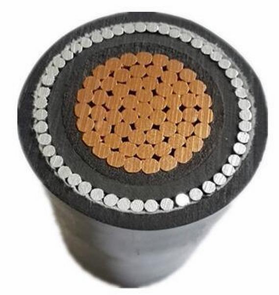 China 
                        Yjv72 Cu/XLPE/PVC/Awa/PVC 0.6/1kv Single Core Power Cable
                      manufacture and supplier