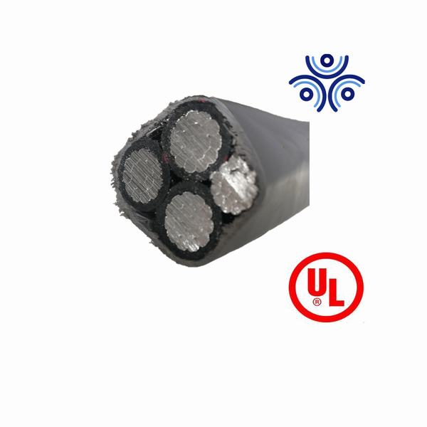 China 
                        1/0AWG 2/0AWG Multicore XLPE PVC Underground Armored Cable
                      manufacture and supplier