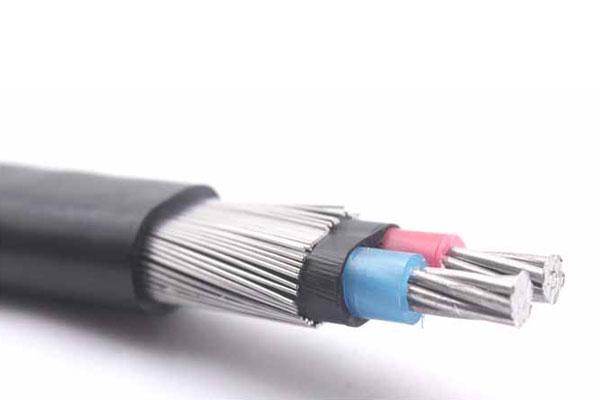1*6 AWG+1*6AWG 600V Aluminum Concentric Cable