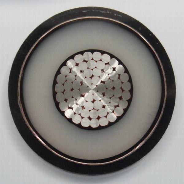 China 
                                 1-adriges und 3-adriges Kupferkabel, Mittlere Spannung, Gepanzert, Isoliertes XLPE-Netzkabel mit Zertifikat                              Herstellung und Lieferant