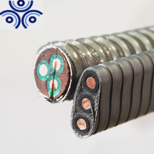 China 
                                 10 mm2, Epr sumergible de aislamiento de la bomba de aceite de la cinta de acero blindado Cable Esp                              fabricante y proveedor