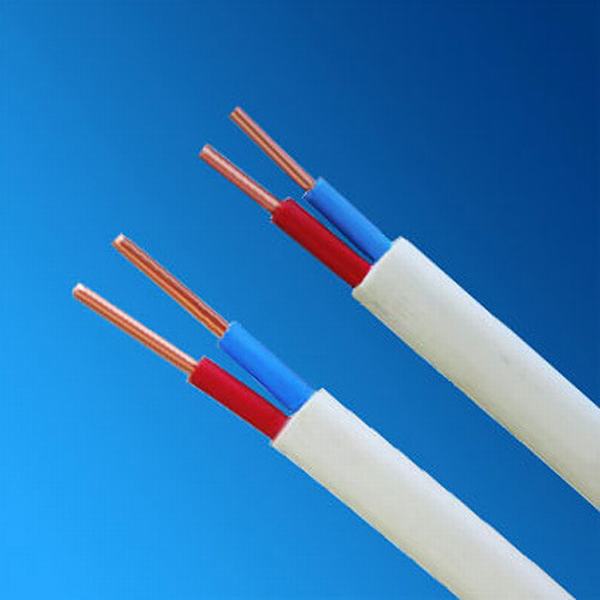 China 
                        2.5mm Flat Twin and Earth Cable 2015 Hot Sale
                      manufacture and supplier