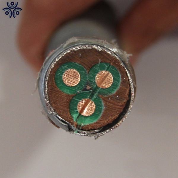 China 
                                 3 x 13 mm Gepanzertes Stromkabel für runde elektrische Tauchpumpe mit NBR-Ummantelung                              Herstellung und Lieferant