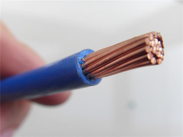 China 
                        600V 8AWG Copper Conductor PVC Insulation Nylon Sheathed Thhn Wire
                      manufacture and supplier