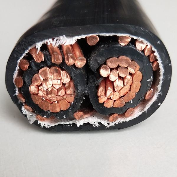 China 
                        600V Stranded Copper / Aluminum Conductor Seu Concentric Neutral Cable
                      manufacture and supplier