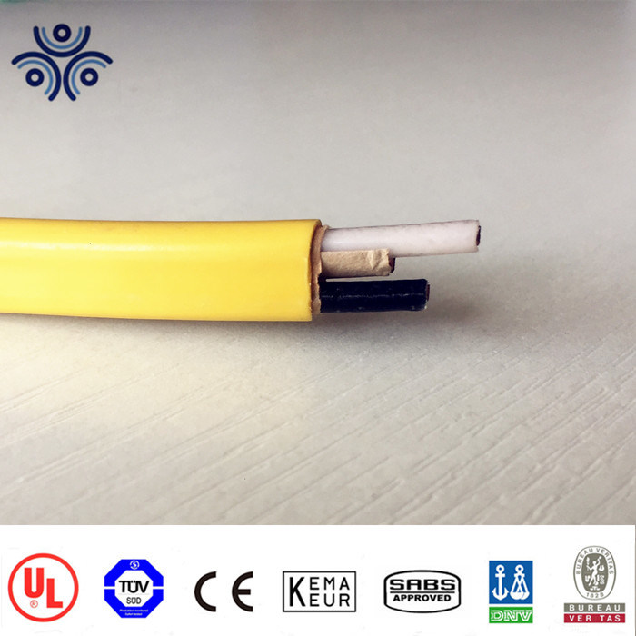 Cina 
                8/2 8/3 Nm-B cavo 600 V conduttori in rame isolamento in PVC nylon Guaina in PVC con codice colore
              produzione e fornitore