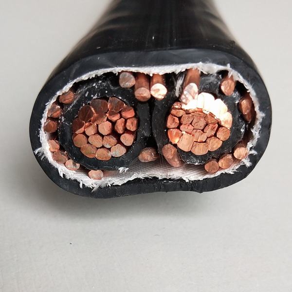 AWG Size Service Entrance Cable Ser Seu Copper Conductor 2 Core Concentric Electric Wire & Cable