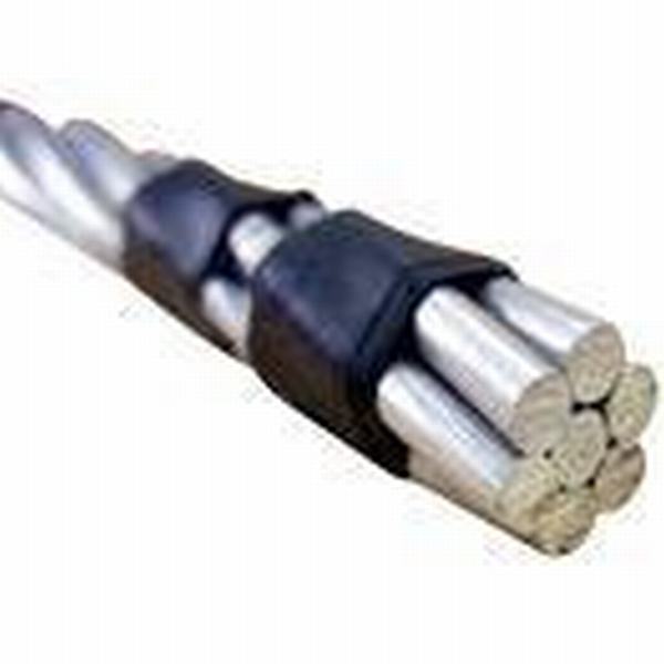 China 
                        All Aluminum Alloy Stranded Conductor AAAC with ASTM B399
                      manufacture and supplier