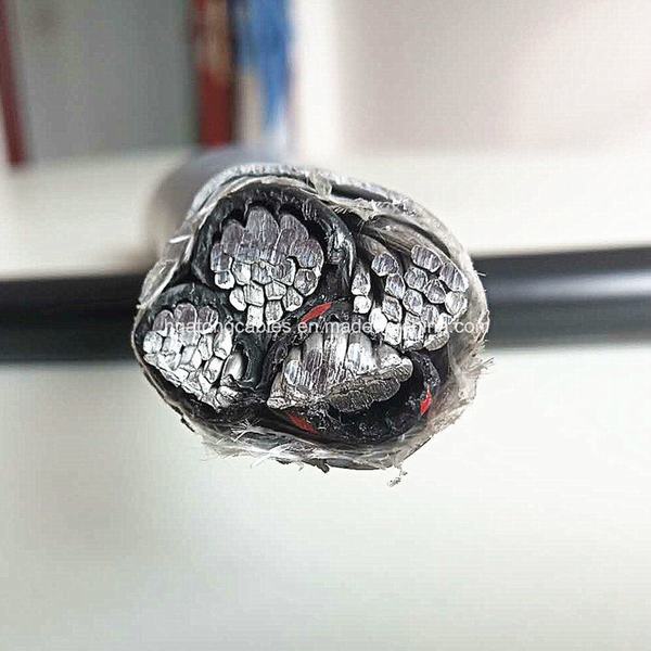 China 
                        Aluminum Conductor Rated Temperature 75, 90oc Type Ser Cable
                      manufacture and supplier