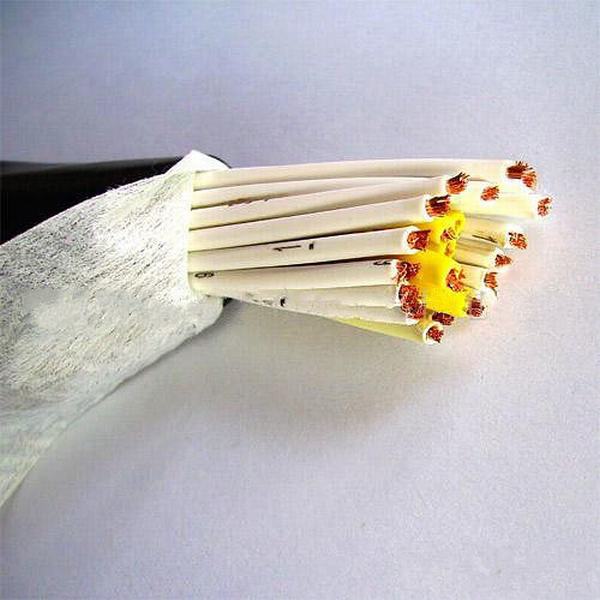 China 
                        Armored Copper Core Control Cable 2015 Hot Sale
                      manufacture and supplier