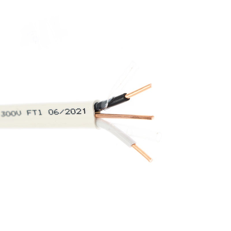 
                Cable eléctrico de construcción no metálico de Nmd90 PIES con revestimiento CSA 250
            