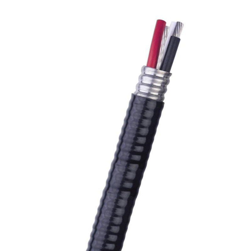 China 
                Canada Aluminium AA-8000 Compacted 600 Volts 3 Conductor Al Acm 600V Acwu90 Cable
              manufacture and supplier