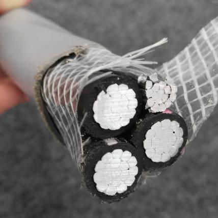 China 
                Concentric Cable/Service Entrance Cable Se/Ser/Seu 3X4AWG 600V UL Listed
              manufacture and supplier