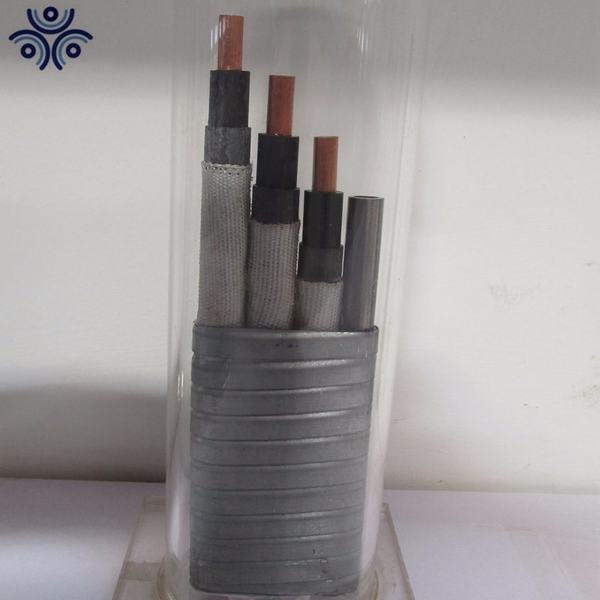 China 
                        Corrosion Resistance PVC Insulated Submersible Oil Pump Cable
                      manufacture and supplier