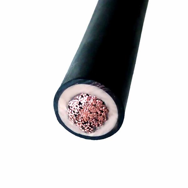 China 
                        Dlo Electric 2000V 600V Underground Cable Round Sheath Cable
                      manufacture and supplier
