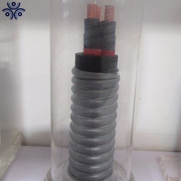 China 
                        Esp Steel Armored Submersible Oil Pump Cable
                      manufacture and supplier