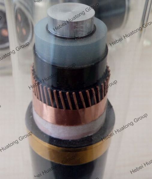China 
                        High/Medium Voltage Cable Single Core 3 Core Cu/XLPE/Cws/PVC Shield Power Cable
                      manufacture and supplier