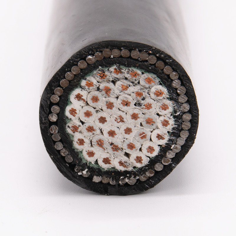 Cina 
                High Quality Control Cable Kvv Cable
             fornitore