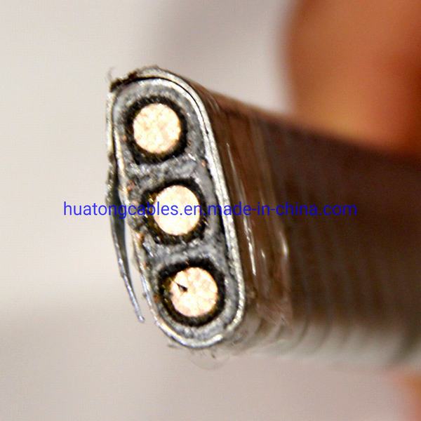 China 
                        High Temperature 232 Degree Oil and Corrosion Resistance Esp Cable
                      manufacture and supplier