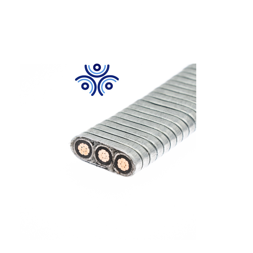 China 
                Lead Sheath 5kv Power Electric Cables Esp Cable
              manufacture and supplier