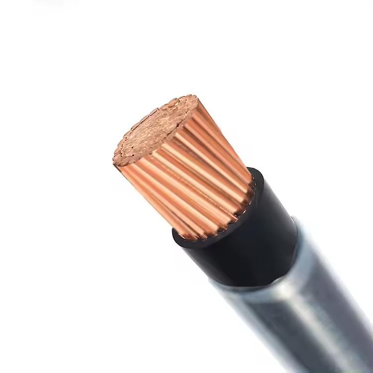 PVC Insulation Single Condutor Electrical Cable Certification UL Power 600V Thhn Wire Copper Building China Nylon Jacket 14/12/10AWG