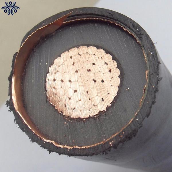 TUV Approved Copper Conductor XLPE Insulation PVC Sheathed Power Cable