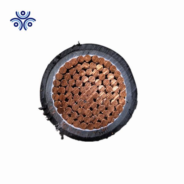 China 
                        Ttu 400mcm 450mcm 500mcm Copper Electric Wire Cable Power Cables Buidling Wire
                      manufacture and supplier