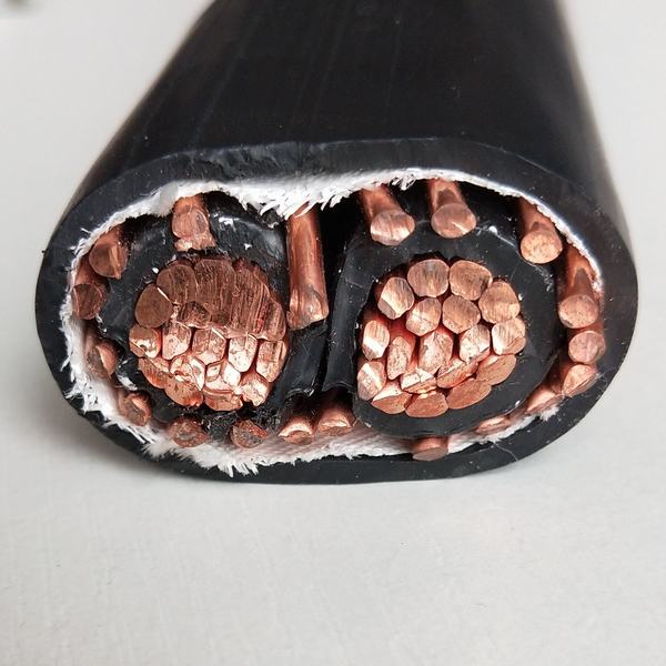 China 
                        Two Phase Seu Power Cable Copper Service Entrance 2 Core Copper Concentric Electric Wire & Cable with UL854 Certificage
                      manufacture and supplier