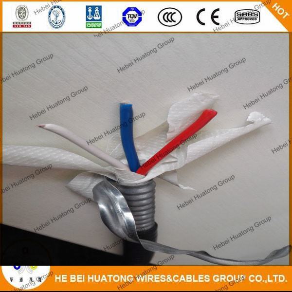 Chine 
                                 Câble de type MC                              fabrication et fournisseur
