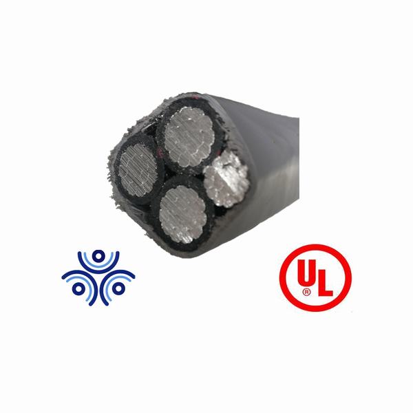 China 
                        UL 854 Service Entrance Cable Aluminum/Copper Type Se, Style R/U Ser 1 1 1 3
                      manufacture and supplier
