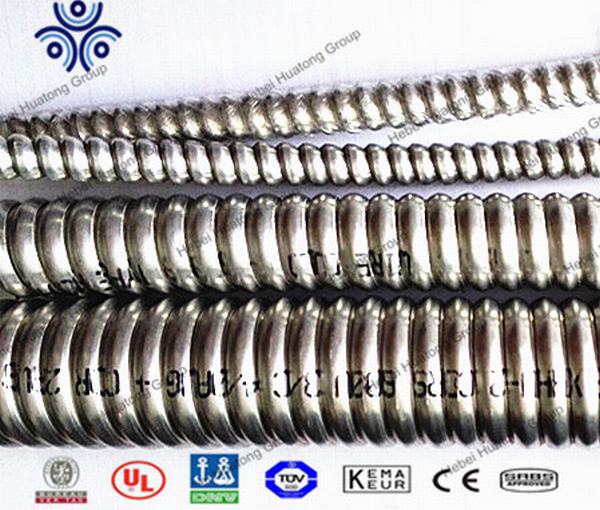 Chine 
                                 Certificat UL UL 1569 CSA C22 Acwu Rwu90-90 Xhhw-Metal Thhn ou plaqués de câble blindé câble Mc                              fabrication et fournisseur