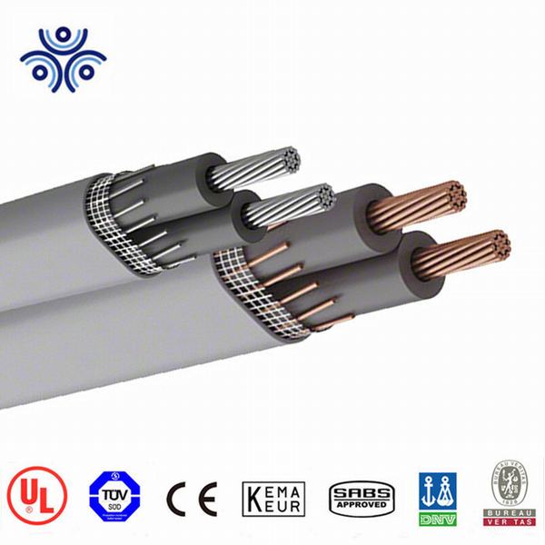 China 
                                 La serie 8000 de UL de conductores de aluminio Xhhw XHHW-2 Core Ud Metro cable de entrada de servicio se/SEU/Ser                              fabricante y proveedor