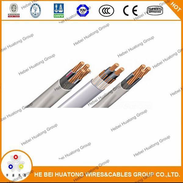 China 
                        UL854 Auminum Seu-AA-8000, XLPE, 2 X 2 + 2 AWG, 600V, Concentric Cable
                      manufacture and supplier