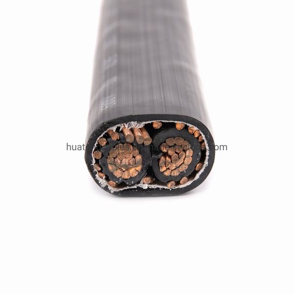 China 
                        UL854 Auminum Seu-AA-8000, XLPE, 2 X 8 + 8 AWG, 600V, Concentric Cable
                      manufacture and supplier