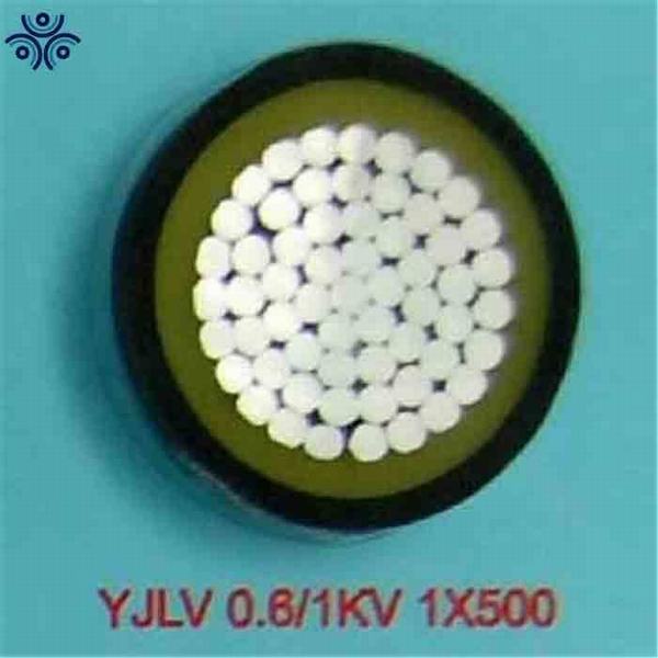 China 
                        XLPE/PVC Insulated PVC Sheath Aluminum Power Cable
                      manufacture and supplier